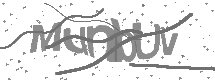 visual captcha